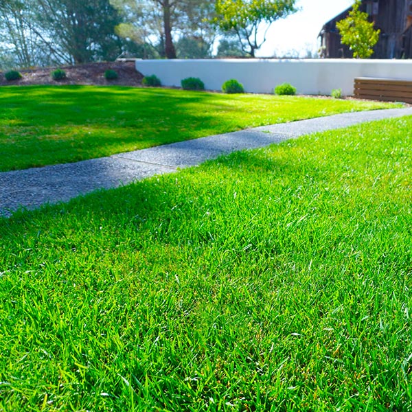About Affordable Cleanup & Hauling - Our passion for landscapes and plants