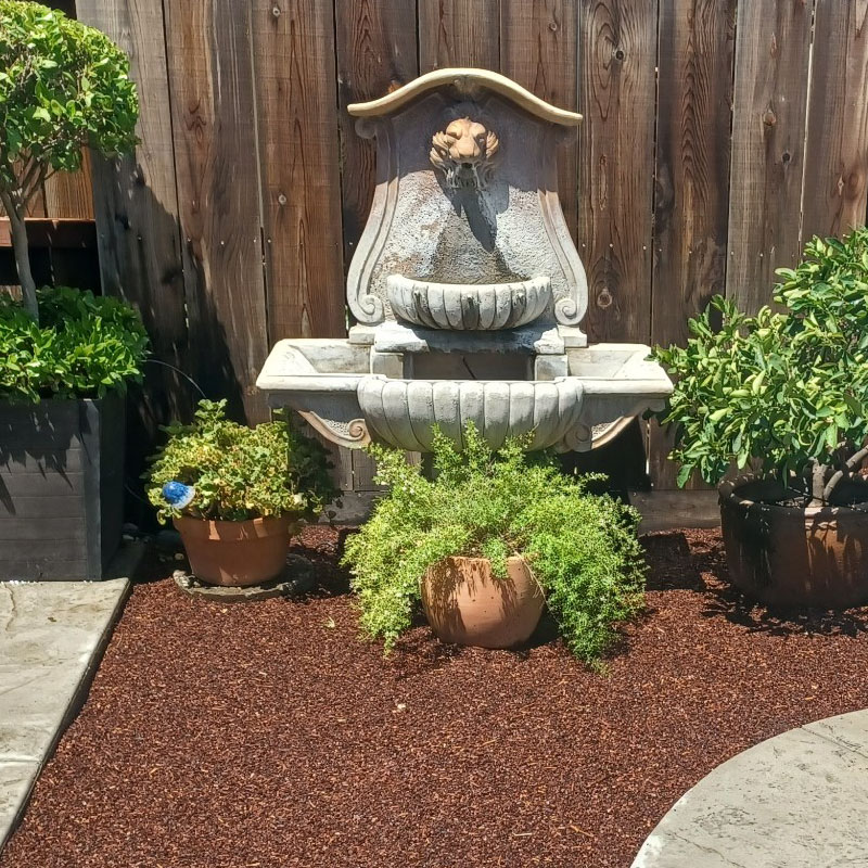 Ground cover and planting Ground cover and planting