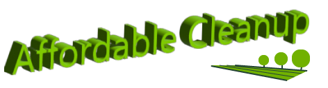 Affordable Cleanup