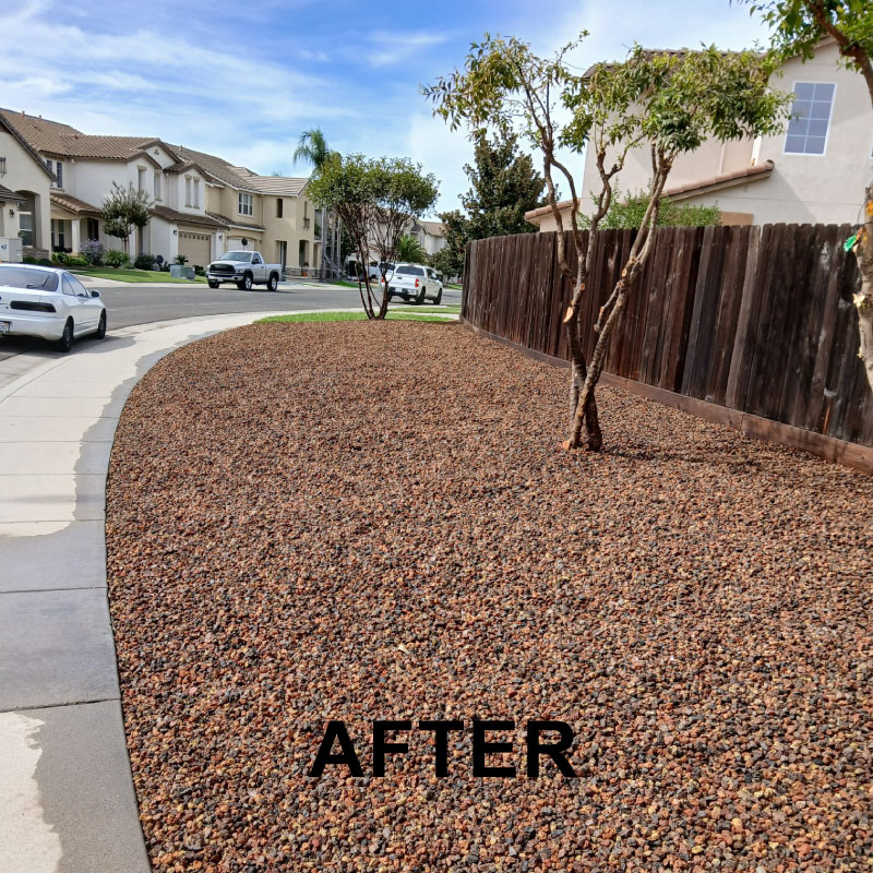 After Cleanup