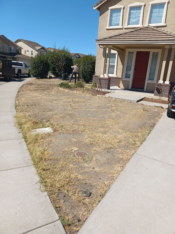 Affordable Cleanup - Landscape photo before