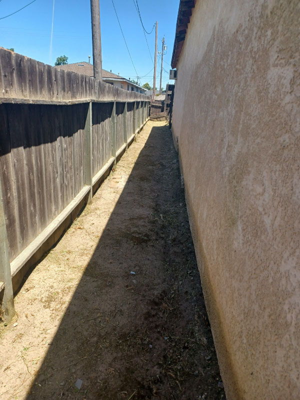 Affordable Cleanup - Landscape photo after