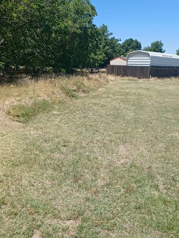 Affordable Cleanup - Landscape phot