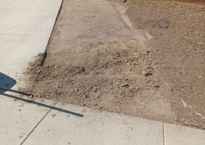 Affordable landscape cleanup, hauling, yard maintenance