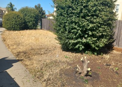 Affordable landscape cleanup, hauling, yard maintenance