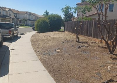 Affordable landscape cleanup, hauling, yard maintenance