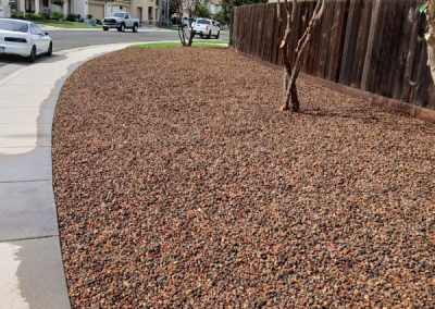 Affordable landscape cleanup, hauling, yard maintenance