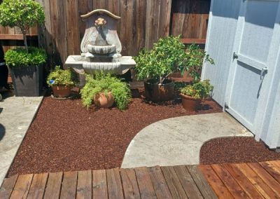 Affordable landscape cleanup, hauling, yard maintenance