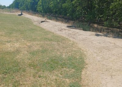 Affordable landscape cleanup, hauling, yard maintenance