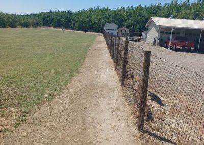 Affordable landscape cleanup, hauling, yard maintenance