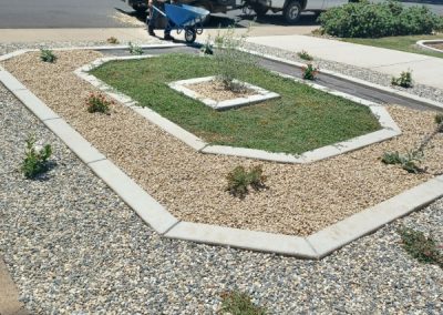 Affordable landscape cleanup, hauling, yard maintenance