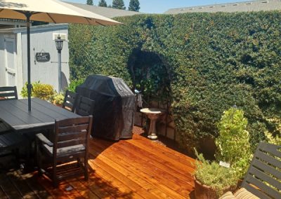 Affordable landscape cleanup, hauling, yard maintenance